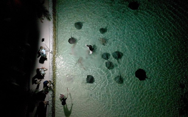 Holidays to MALDIVES