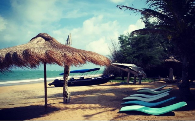 Holidays to SRI LANKA