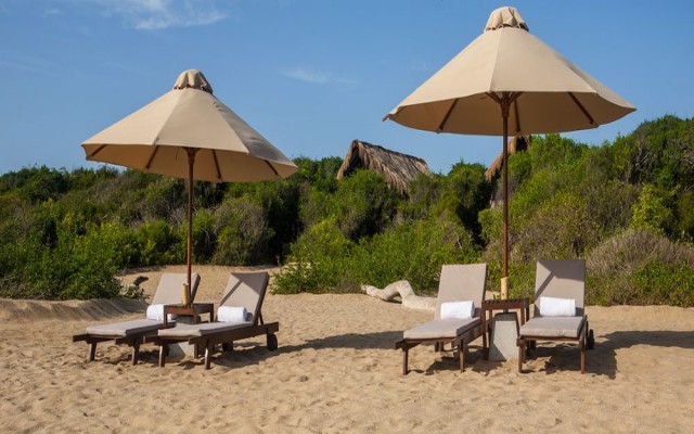 Holidays to SRI LANKA