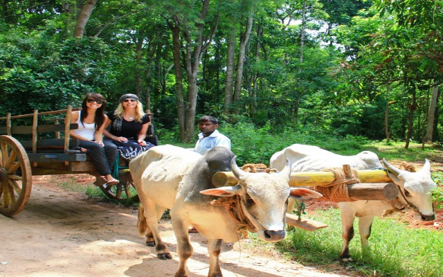 Holidays to SRI LANKA