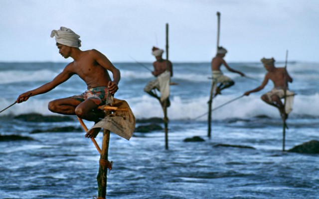 Holidays to SRI LANKA