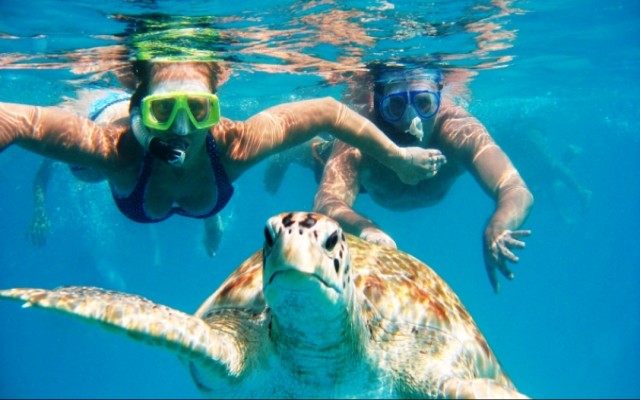 Holidays to SRI LANKA