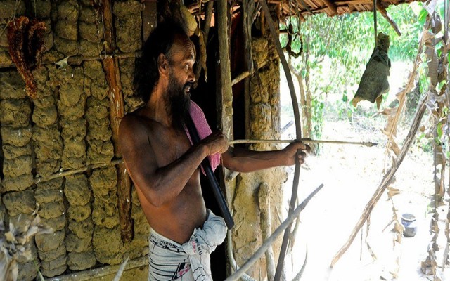Holidays to SRI LANKA