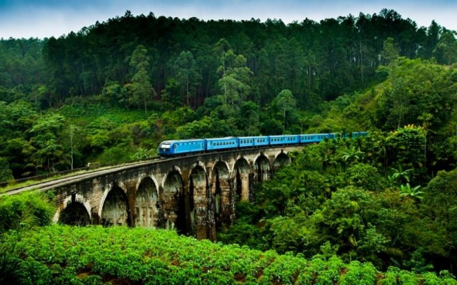 Holidays to SRI LANKA