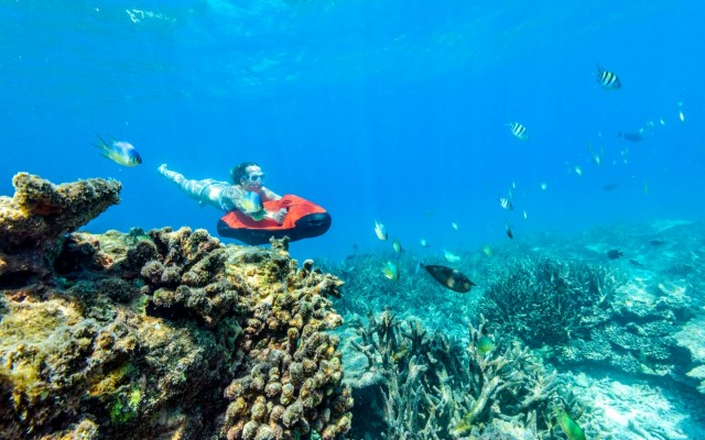 Holidays to MALDIVES