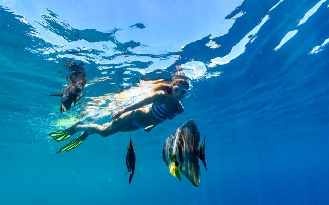 Holidays to MALDIVES