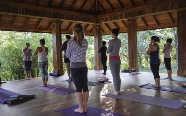 Holidays to SRI LANKA