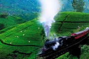 Holiday packages to SRI LANKA