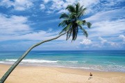 Holidays to SRI LANKA