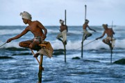 Holidays to SRI LANKA