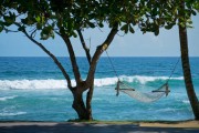 Holidays to SRI LANKA