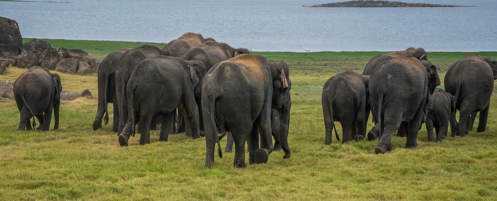 NATURE & WILDLIFE TOUR